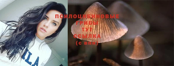 первитин Александровское