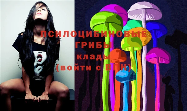 мдпв Яранск