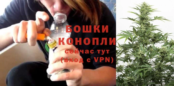 ешки Трёхгорный
