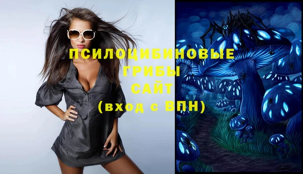 мдпв Яранск