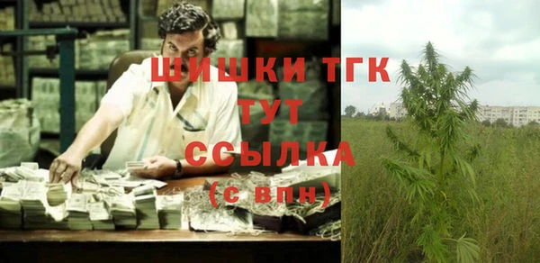 сатива Яровое