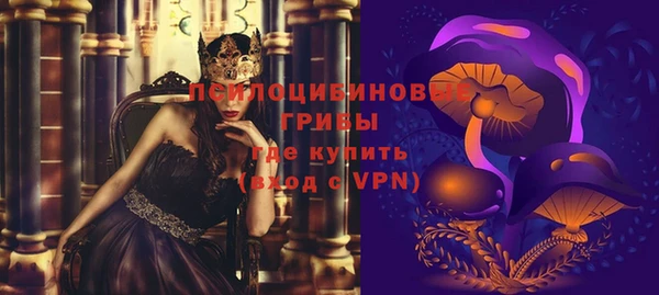 крисы Янаул